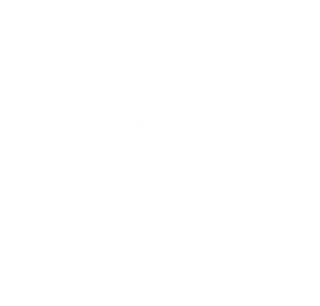 Parramatta City Council